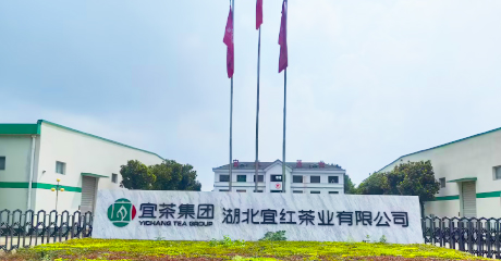 宜红人生就是博官网