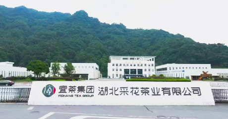 采花人生就是博官网