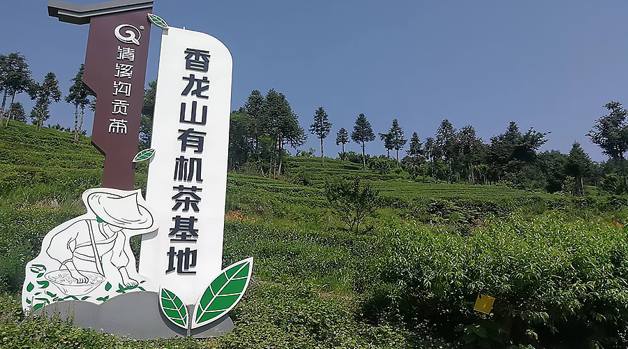 清溪沟人生就是博官网荣誉