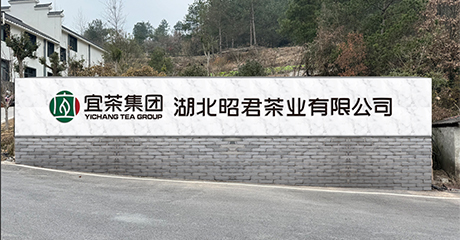 昭君人生就是博官网