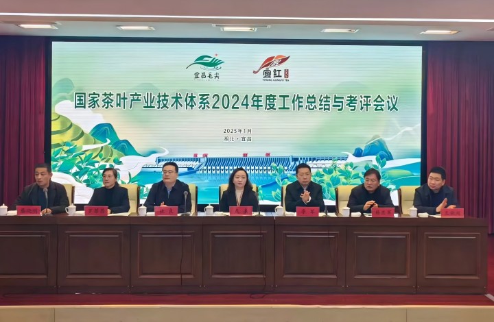 国度茶叶产业技术系统2024年度工作总结与考评会议在宜昌召开