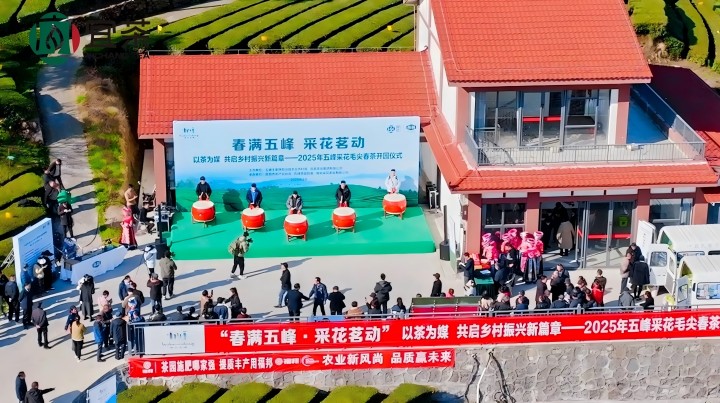 720-1 宜茶集团进行采花毛尖春茶开园活动(1).jpg 720-1 宜茶集团进行采花毛尖春茶开园活动(1).jpg