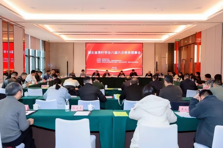 “宜茶模式”获茶界认可，湖北茶产业迎来发展新引擎