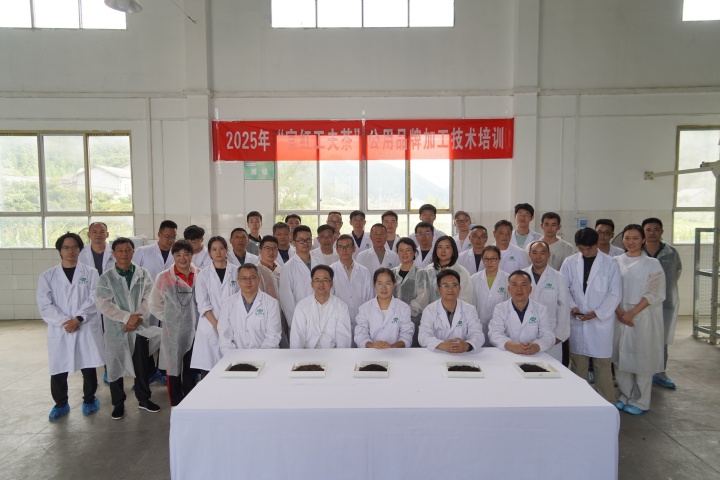 2025年宜红功夫茶公用品牌加工技术培训在五峰县进行