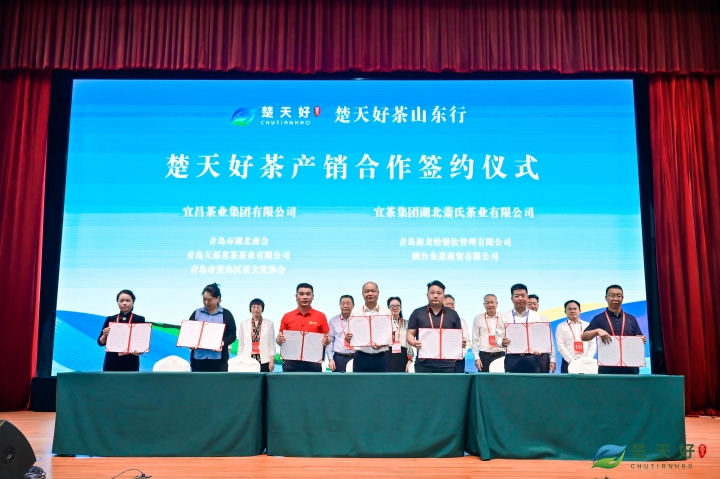 “宜昌茶”北上拓市结硕果——“楚天好茶山东杏妆系列推介活动侧记