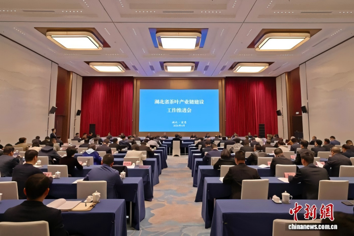 省茶叶产业链建设工作推动会召开